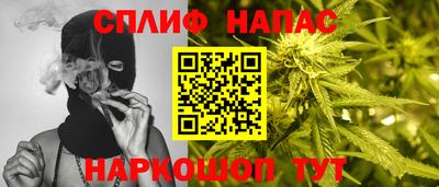 индика Краснознаменск