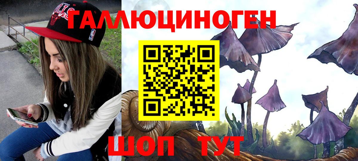 Галлюциногенные грибы GOLDEN TEACHER Калач-на-Дону