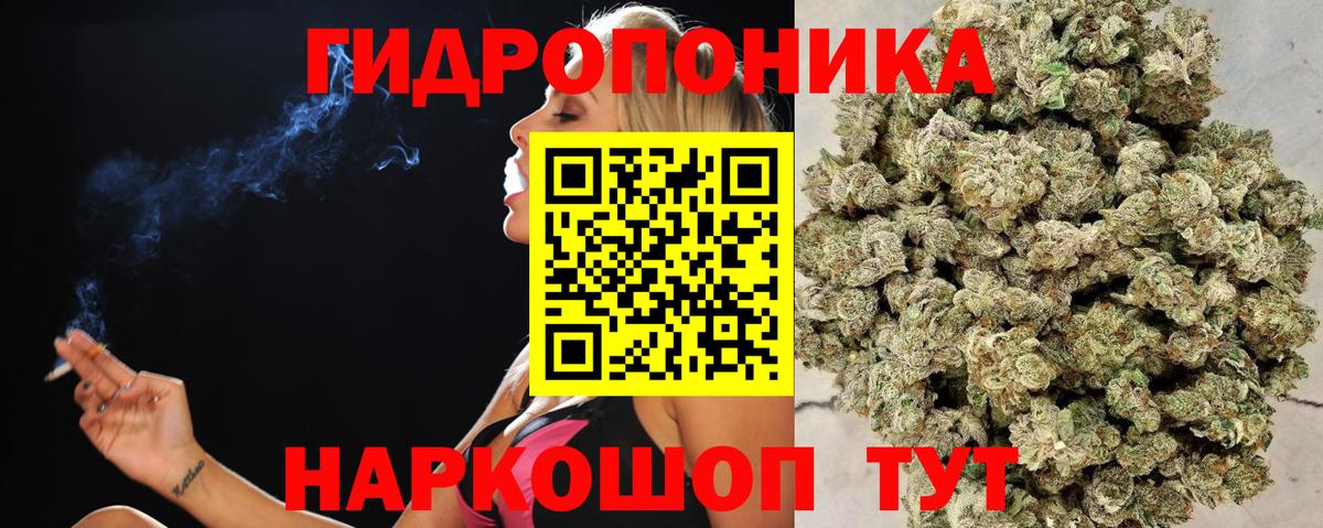 Калач-на-Дону  Бошки Шишки индика  Вход с VPN  Бошки марихуана тримм  Конопля AK-47  Конопля гибрид 